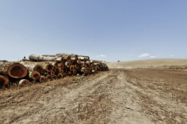 İtalya alanlarında oturum