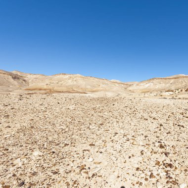 İsrail Taş Çölü