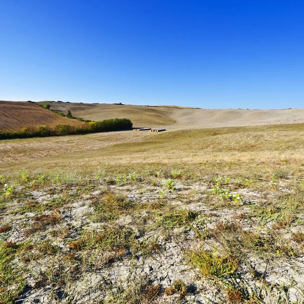 Paysage avec des balles de paille — Photo