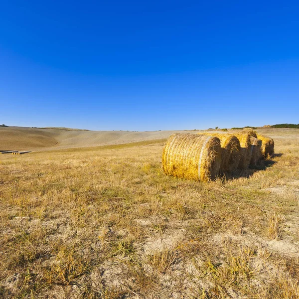 Landscape with Straw Bales — Stock Photo, Image
