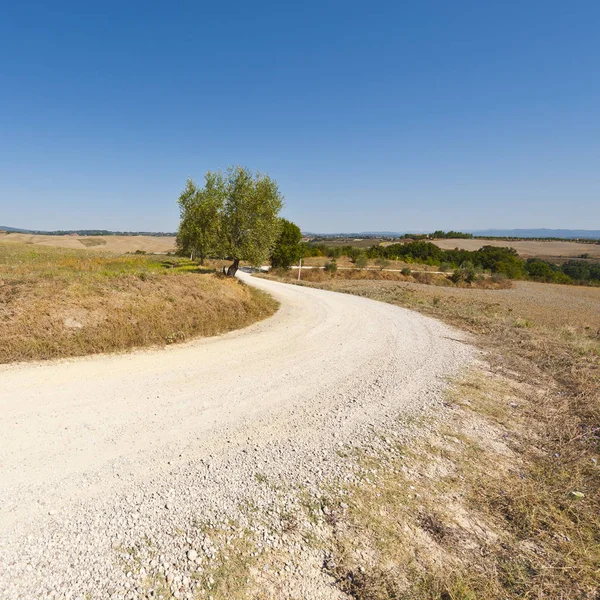 Winding dirt road in Italy — Stock Photo, Image