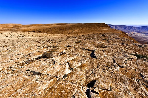 Камінь пустелі в Ізраїлі — стокове фото