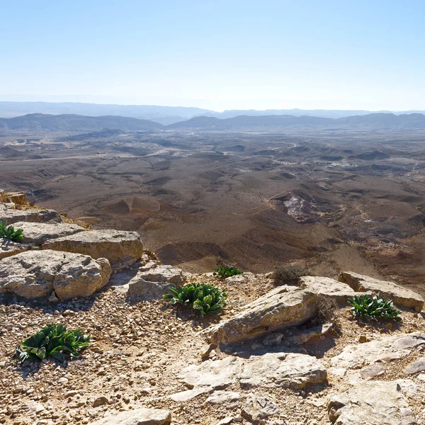 Désert de pierre en Israël — Photo