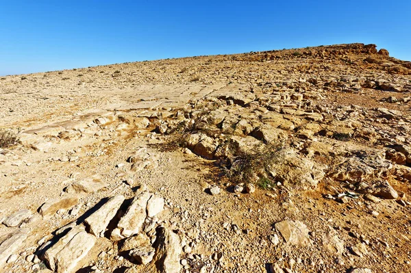 Stone Desert in Israel — Stock Photo, Image