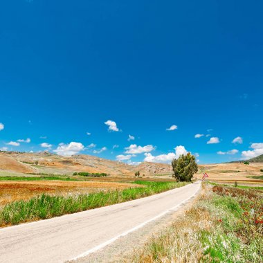 asfalt yol