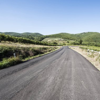  Üzüm bağları arasında yol 