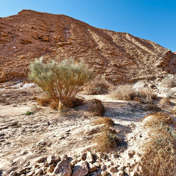 İsrail kayalık Hills — Stok fotoğraf