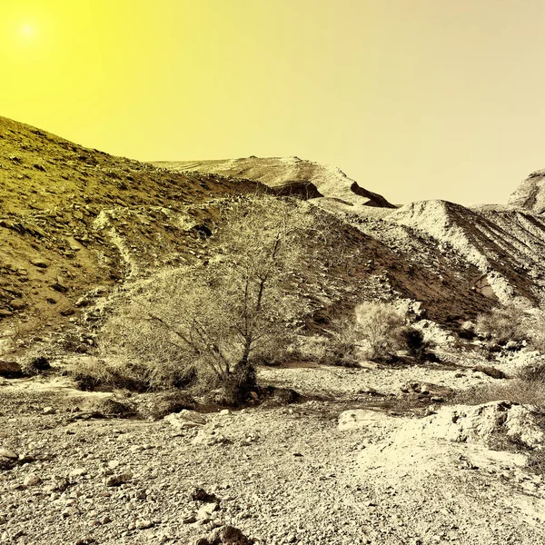 Rocky Hills em Israel — Fotografia de Stock