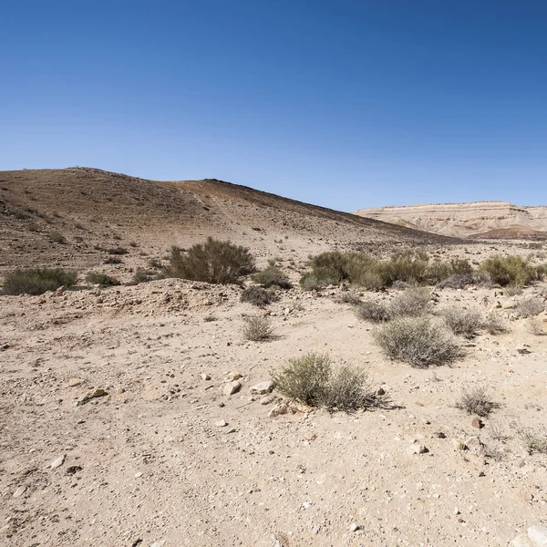 İsrail Taş Çölü