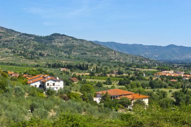Zeytin ağaçları ve üzüm bağları arasında Köyü