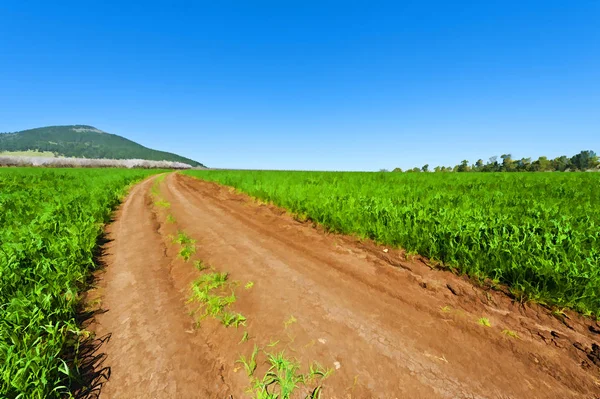 Mount Tabor in Israël — Stockfoto