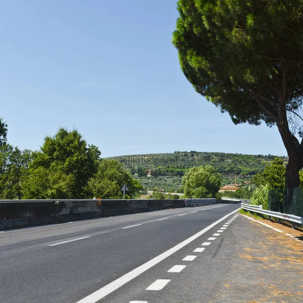 Asfaltowa droga między gajów oliwnych. — Zdjęcie stockowe