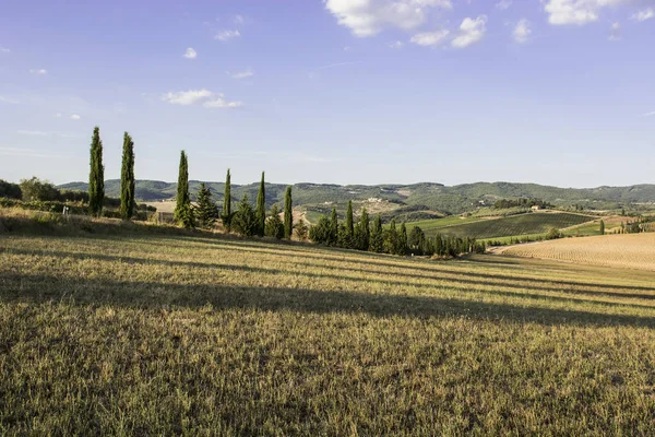 Sonbaharda Toskana manzarası