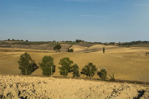 Сельский пейзаж с вспаханными полями — стоковое фото