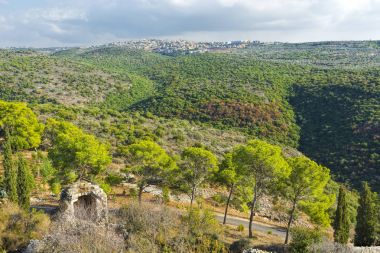 İsrail Arap yerleşim