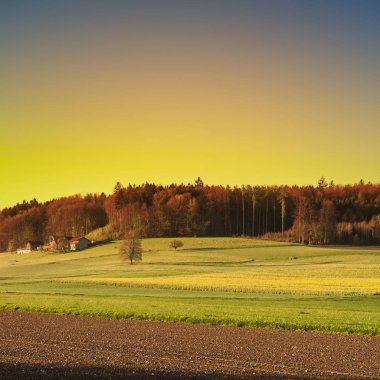 Tarıma elverişli arazi ve Mera İsviçre