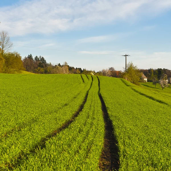 Meadows surrounding the village in Switzerland — Stock Photo, Image