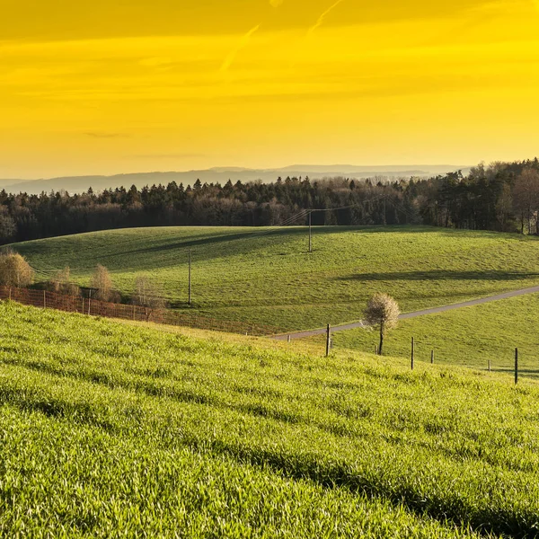 Zwitserse landschap vroeg in de ochtend — Stockfoto