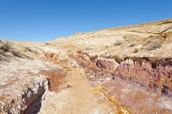 Landscape of the desert in Israel — Stock Photo, Image