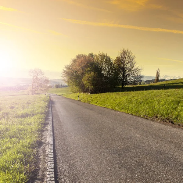 Route asphaltée entre les pâturages — Photo