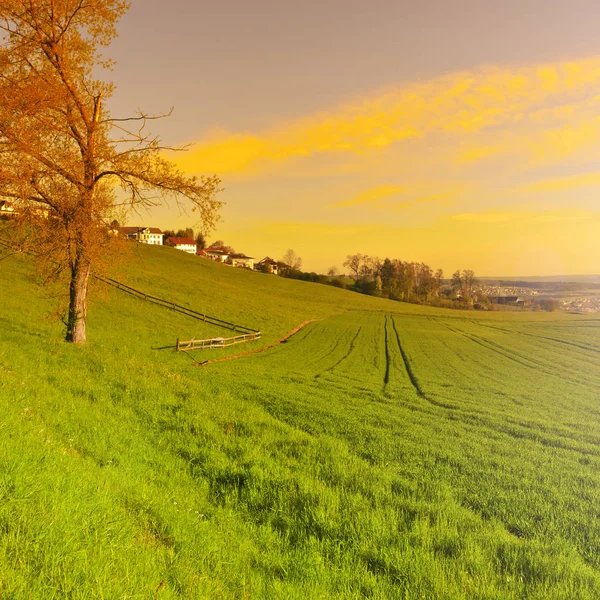 Village suisse entouré de prairies — Photo