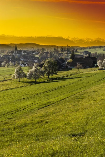 Ciudad suiza rodeada de prados . — Foto de Stock