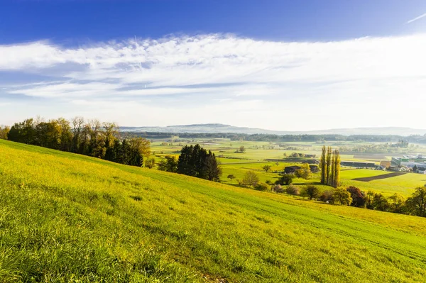 Weiden en weiden in Zwitserland — Stockfoto