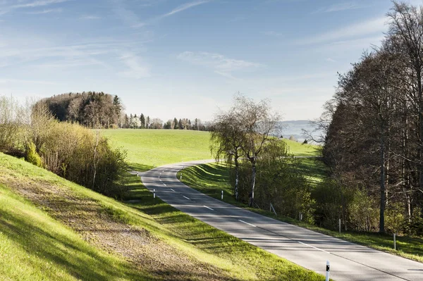 Weg tussen de weilanden in Zwitserland — Stockfoto