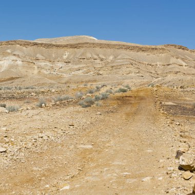 İsrail çölde peyzaj