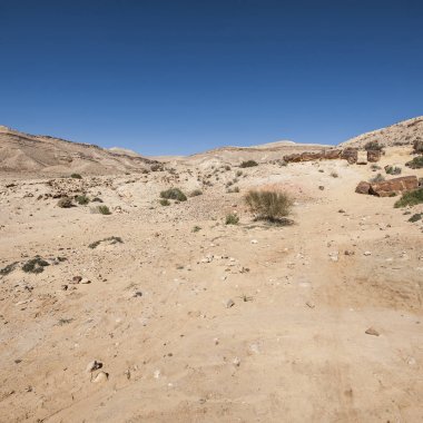 İsrail çölde peyzaj