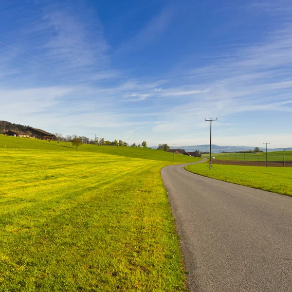 Asfalt yol İsviçre