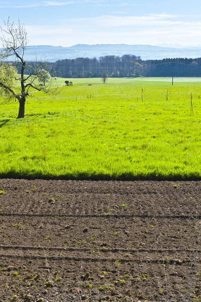 Orná půda a pastviny — Stock fotografie