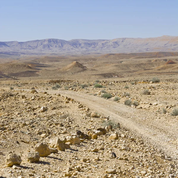 Landscape of the desert in Israel — Stock Photo, Image