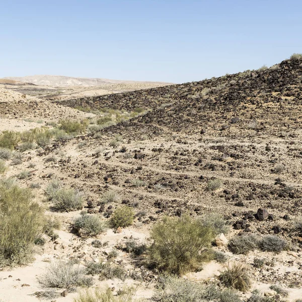 Krajina v poušti v Izraeli — Stock fotografie