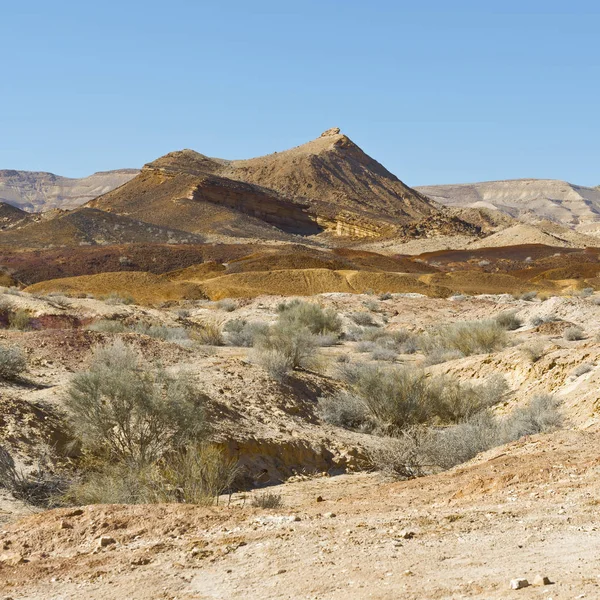 Paisagem do deserto em Israel — Fotografia de Stock