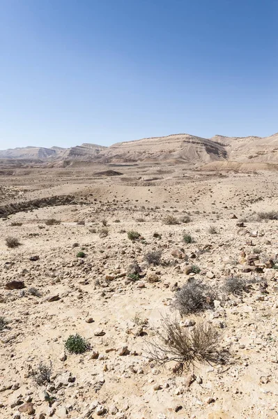 イスラエルの砂漠の風景 — ストック写真