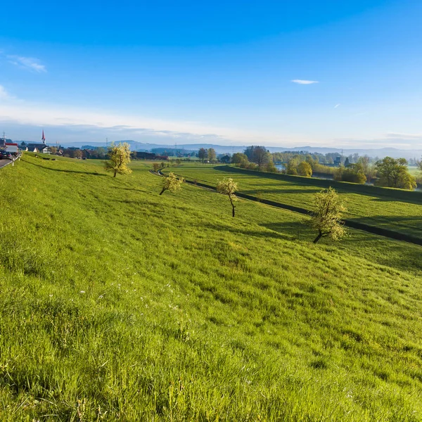 Schweizer Landschaft mit Wiesen — Stockfoto