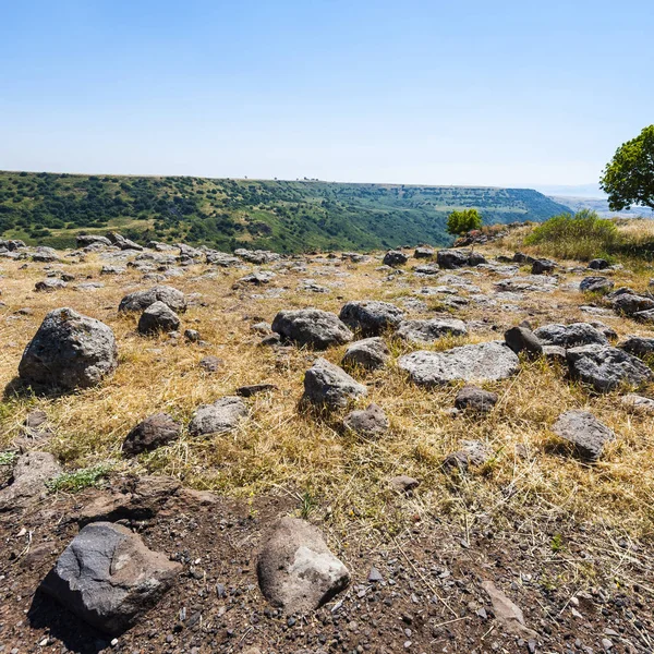 Rezerwat przyrody Gamla — Zdjęcie stockowe