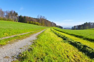 Çim biçme sırası