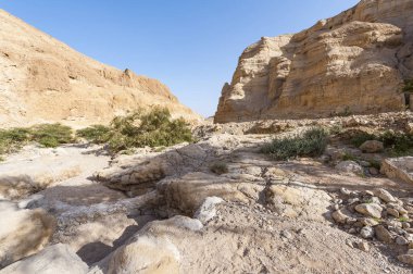 İsrail Taş Çölü