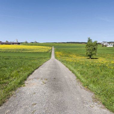 Çayırlar İsviçre arasındaki asfalt yol