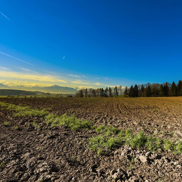 Felder in der Schweiz gepflügt — Stockfoto