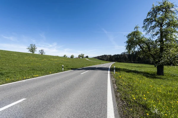 Asphaltstraße zwischen Wiesen in der Schweiz — Stockfoto