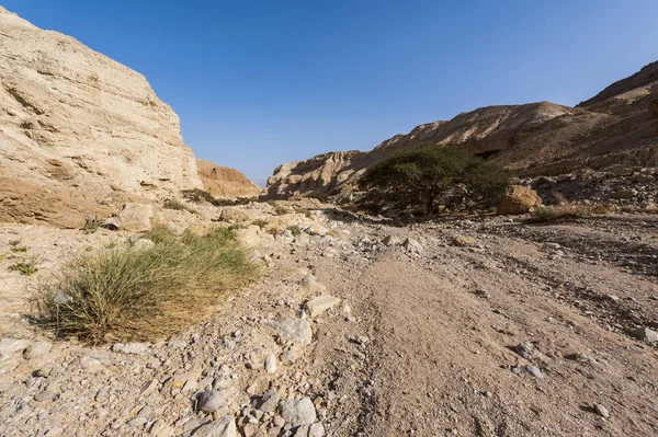 Steenwoestijn in Israël — Stockfoto