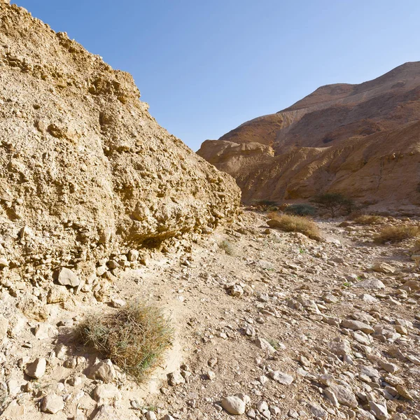Kamienna pustynia w Izraelu — Zdjęcie stockowe