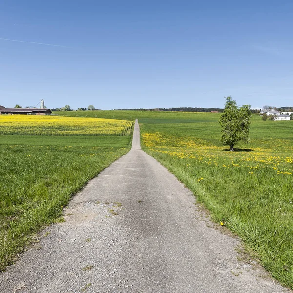 Çayırlar İsviçre arasındaki asfalt yol