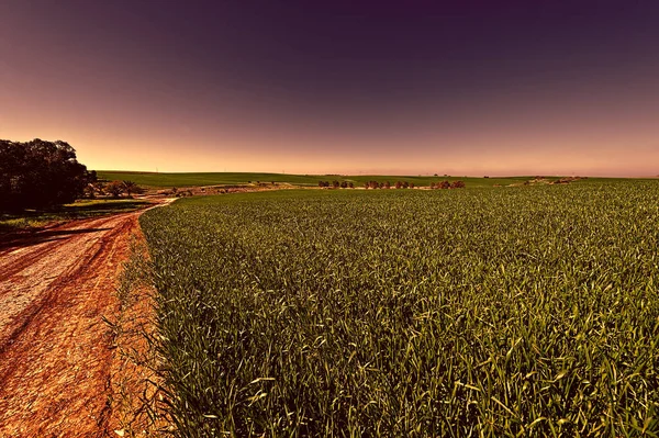 Felder und kurvenreiche Straße in Israel — Stockfoto