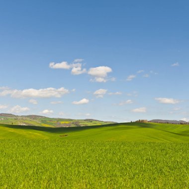 Alanları, otlaklar ve çiftlik evi 