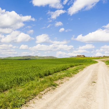 toprak yol çayır arasında