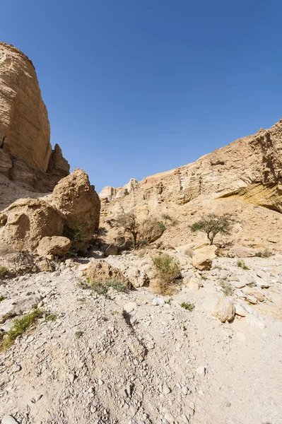 Каменная пустыня Израиля — стоковое фото